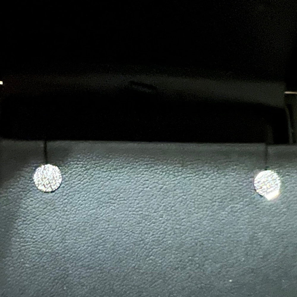 NWOT Lauren Joy Mini Disc  Stud Earrings